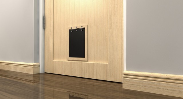 Cat Flap Installation Falconwood, Welling, DA16