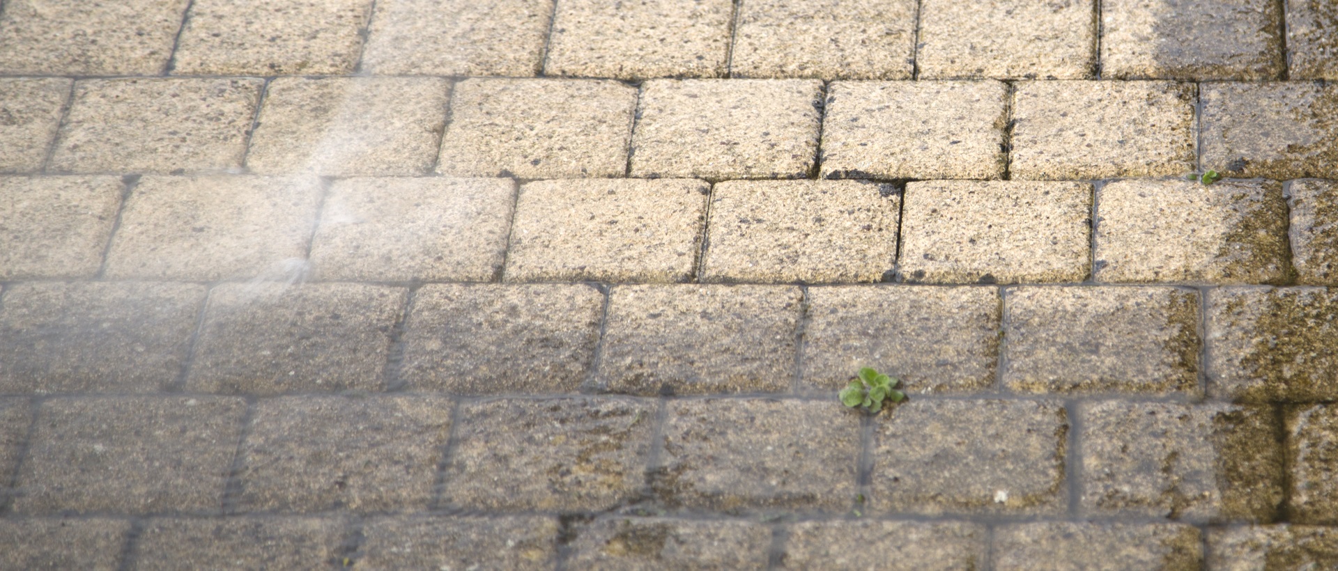 flagging and patios DA16